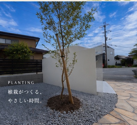 CASABELLA Planting